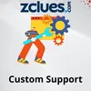 Custom Support