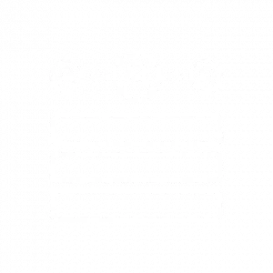 1728131343962.webp